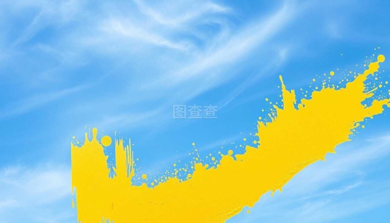 自考辅导，选择线上还是线下？在线与离线辅导各有千秋。